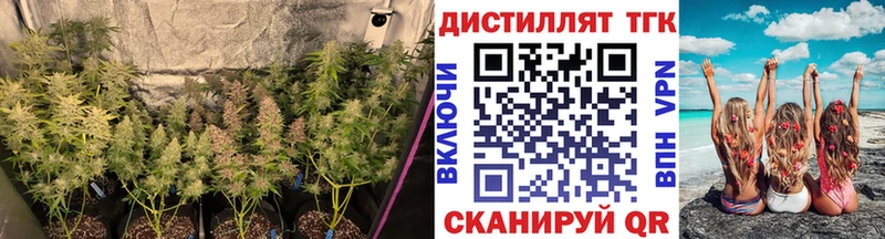 Дистиллят ТГК жижа  Кремёнки 