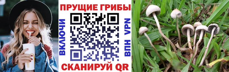 нарко площадка официальный сайт  Кремёнки  Галлюциногенные грибы мицелий 