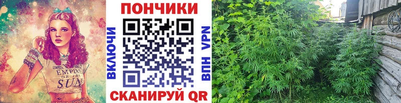 Каннабис ГИДРОПОН наркота Кремёнки